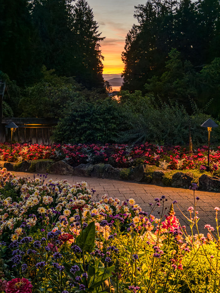 Les jardins Butchart un soir d’été : parterres de fleurs éclairés par les lampadaires des allées, au coucher du soleil, sans foule